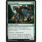 Kavru sauvage / Untamed Kavu