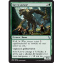 Kavru sauvage / Untamed Kavu