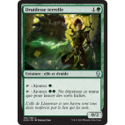Druidesse terrelfe / Elfhame Druid