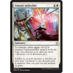 Volonté inflexible / Adamant Will