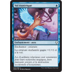 Vol ésotérique / Arcane Flight