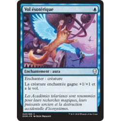 Vol ésotérique / Arcane Flight