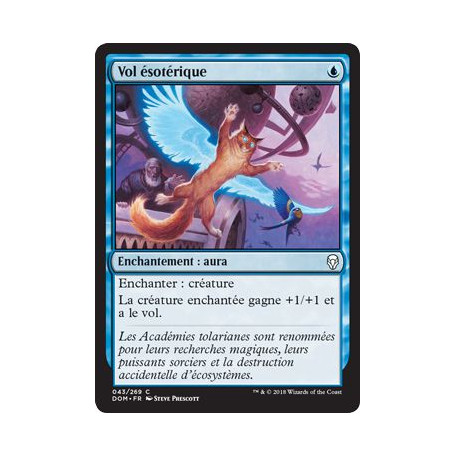 Vol ésotérique / Arcane Flight