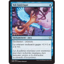 Vol ésotérique / Arcane Flight