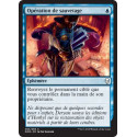 Opération de sauvetage / Rescue