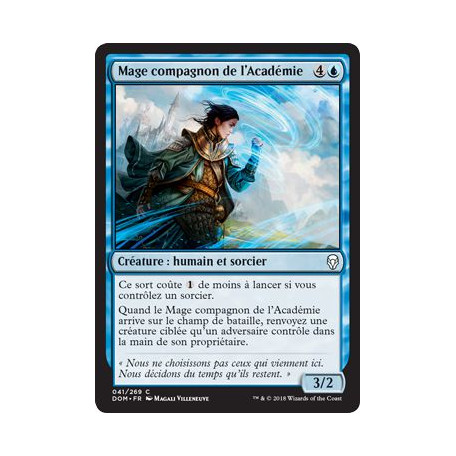 Mage compagnon de l'Académie / Academy Journeymage
