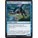 Drakôn de l'Académie / Academy Drake