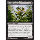 Thallidé omnivore / Thallid Omnivore
