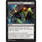 Récupération d'âmes / Soul Salvage