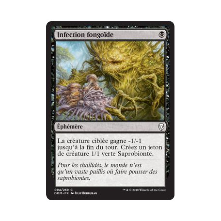 Infection fongoïde / Fungal Infection