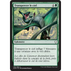 Transpercer le ciel / Pierce the Sky