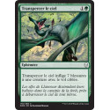 Transpercer le ciel / Pierce the Sky