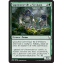 Saproberger de la Yavimaya / Yavimaya Sapherd
