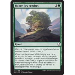 Naître des cendres / Grow from the Ashes