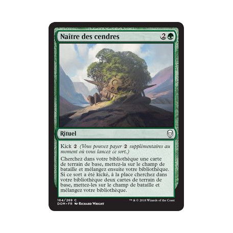 Naître des cendres / Grow from the Ashes