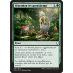 Migration des saprobiontes / Saproling Migration