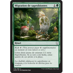 Migration des saprobiontes / Saproling Migration