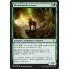 Druidesse krosiane / Krosan Druid