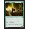 Druidesse krosiane / Krosan Druid