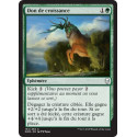 Don de croissance / Gift of Growth