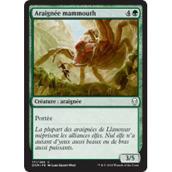 Araignée mammouth / Mammoth Spider