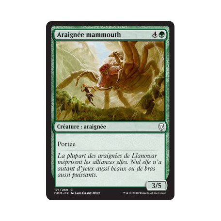 Araignée mammouth / Mammoth Spider