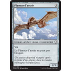 Planeur d'aeszir / Aesthir Glider