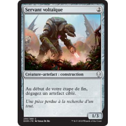 Servant voltaïque / Voltaic Servant