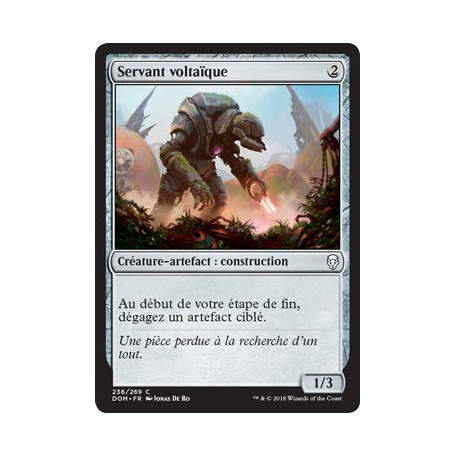 Servant voltaïque / Voltaic Servant