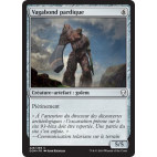 Vagabond pardique / Pardic Wanderer