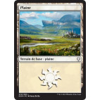 Plaine / Plains n°250