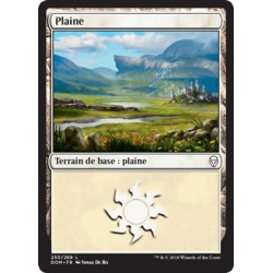 Plaine / Plains n°250