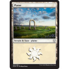 Plaine / Plains n°253