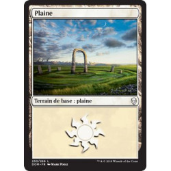 Plaine / Plains n°253
