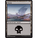 Marais / Swamp n°259