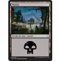 Marais / Swamp n°260