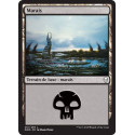 Marais / Swamp n°261