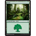 Forêt / Forest n°266