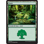 Forêt / Forest n°269