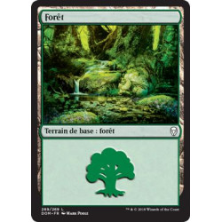 Forêt / Forest n°269
