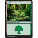 Forêt / Forest n°269