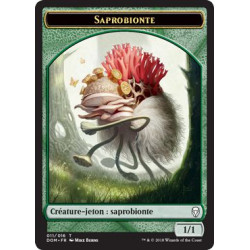 Saprobionte / Saproling  1/1