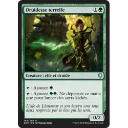 Druidesse terrelfe / Elfhame Druid