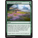 Impulsion audacieuse / Adventurous Impulse - Foil