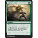 Animus ancien / Ancient Animus - Foil