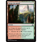 Gorge du massif / Timber Gorge
