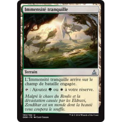 Immensité tranquille / Tranquil Expanse