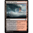 Landes de cendres / Cinder Barrens