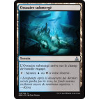 Ossuaire submergé / Submerged Boneyard