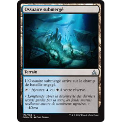 Ossuaire submergé / Submerged Boneyard
